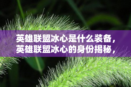 英雄联盟冰心是什么装备，英雄联盟冰心的身份揭秘，游戏界的清流