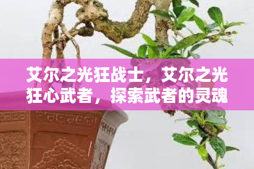 艾尔之光狂战士,艾尔之光狂心武者,探索武者的灵魂与战斗的艺术 艾尔之光狂战士,艾尔之光狂心武者,探索武者的灵魂与战斗的艺术