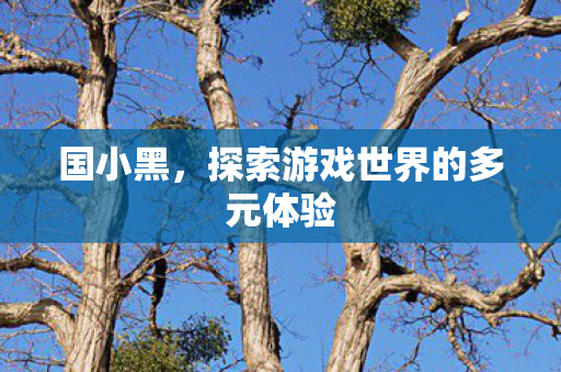 国小黑，探索游戏世界的多元体验