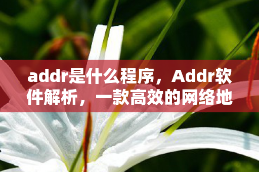 addr是什么程序，Addr软件解析，一款高效的网络地址管理工具