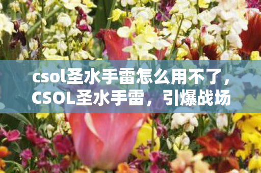 csol圣水手雷怎么用不了,CSOL圣水手雷,引爆战场的新利器 csol圣水手雷怎么用不了,CSOL圣水手雷,引爆战场的新利器