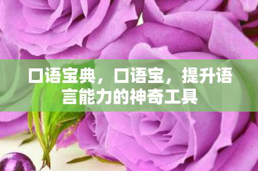 口语宝典，口语宝，提升语言能力的神奇工具