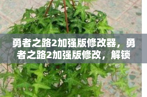 勇者之路2加强版修改器,勇者之路2加强版修改,解锁无限可能的冒险之旅 勇者之路2加强版修改器,勇者之路2加强版修改,解锁无限可能的冒险之旅