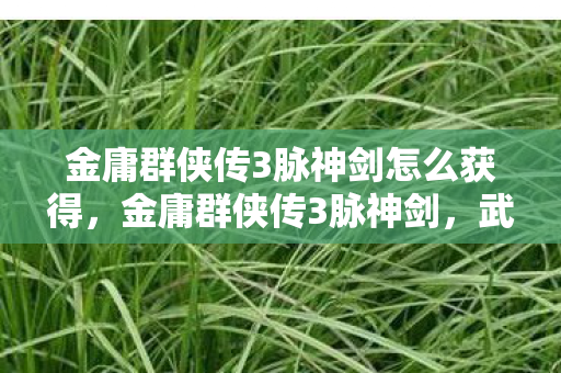 金庸群侠传3脉神剑怎么获得,金庸群侠传3脉神剑,武侠世界的奇幻之旅 金庸群侠传3脉神剑怎么获得,金庸群侠传3脉神剑,武侠世界的奇幻之旅