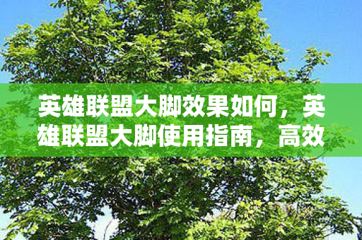 英雄联盟大脚效果如何,英雄联盟大脚使用指南,高效辅助工具助你提升游戏体验 英雄联盟大脚效果如何,英雄联盟大脚使用指南,高效辅助工具助你提升游戏体验