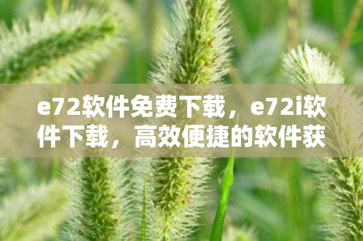 e72软件免费下载,e72i软件下载,高效便捷的软件获取方式 e72软件免费下载,e72i软件下载,高效便捷的软件获取方式