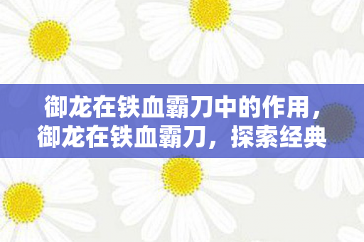 御龙在铁血霸刀中的作用，御龙在铁血霸刀，探索经典游戏的魅力与传承