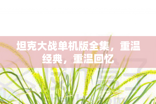 坦克大战单机版全集,重温经典,重温回忆 坦克大战单机版全集,重温经典,重温回忆
