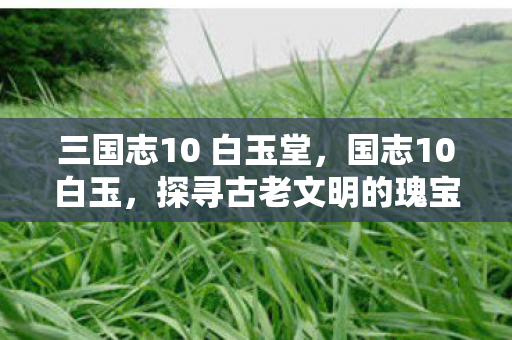 三国志10 白玉堂,国志10白玉,探寻古老文明的瑰宝 三国志10 白玉堂,国志10白玉,探寻古老文明的瑰宝