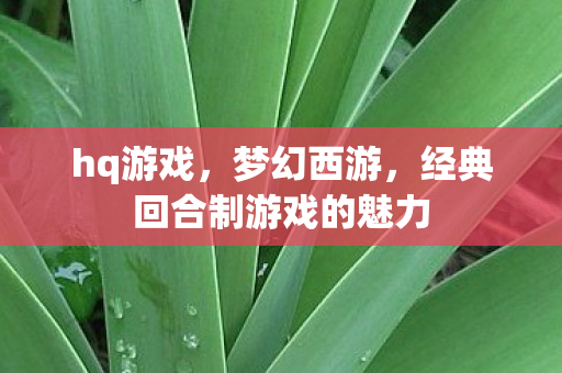 hq游戏,梦幻西游,经典回合制游戏的魅力 hq游戏,梦幻西游,经典回合制游戏的魅力