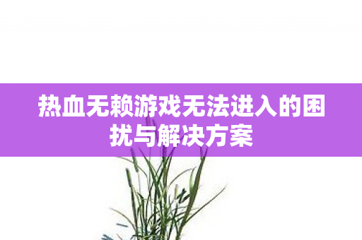 热血无赖游戏无法进入的困扰与解决方案 热血无赖游戏无法进入的困扰与解决方案