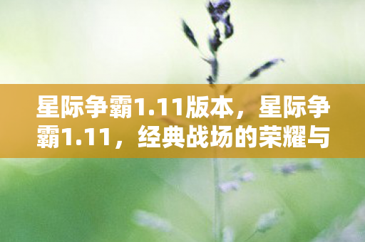 星际争霸1.11版本,星际争霸1.11,经典战场的荣耀与传承 星际争霸1.11版本,星际争霸1.11,经典战场的荣耀与传承