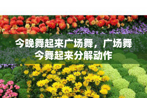 今晚舞起来广场舞，广场舞今舞起来分解动作