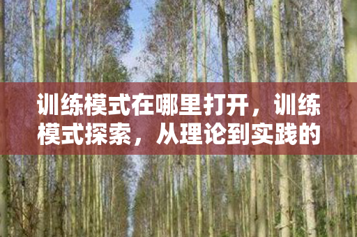 训练模式在哪里打开,训练模式探索,从理论到实践的深度剖析 训练模式在哪里打开,训练模式探索,从理论到实践的深度剖析