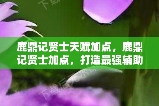 鹿鼎记贤士天赋加点,鹿鼎记贤士加点,打造最强辅助的攻略指南 鹿鼎记贤士天赋加点,鹿鼎记贤士加点,打造最强辅助的攻略指南