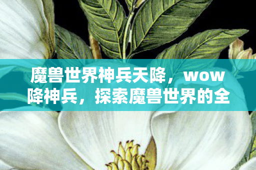 魔兽世界神兵天降,wow降神兵,探索魔兽世界的全新挑战 魔兽世界神兵天降,wow降神兵,探索魔兽世界的全新挑战