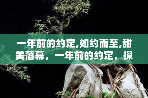 一年前的约定,如约而至,甜美落幕,一年前的约定,探索游戏世界的无限可能 一年前的约定,如约而至,甜美落幕,一年前的约定,探索游戏世界的无限可能