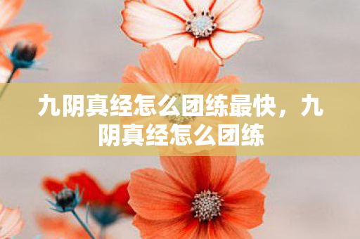 九阴真经怎么团练最快,九阴真经怎么团练 九阴真经怎么团练最快,九阴真经怎么团练