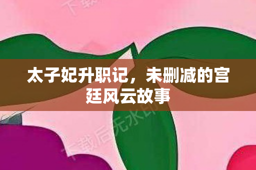 太子妃升职记,未删减的宫廷风云故事 太子妃升职记,未删减的宫廷风云故事