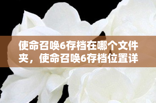 使命召唤6存档在哪个文件夹,使命召唤6存档位置详解 使命召唤6存档在哪个文件夹,使命召唤6存档位置详解