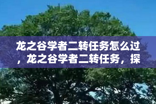 龙之谷学者二转任务怎么过,龙之谷学者二转任务,探索学者职业的深度进化 龙之谷学者二转任务怎么过,龙之谷学者二转任务,探索学者职业的深度进化