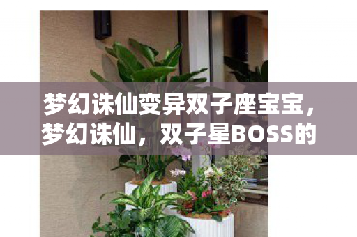 梦幻诛仙变异双子座宝宝,梦幻诛仙,双子星BOSS的挑战与攻略 梦幻诛仙变异双子座宝宝,梦幻诛仙,双子星BOSS的挑战与攻略