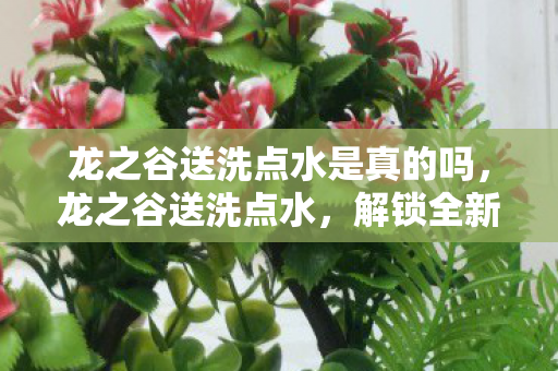 龙之谷送洗点水是真的吗,龙之谷送洗点水,解锁全新游戏体验 龙之谷送洗点水是真的吗,龙之谷送洗点水,解锁全新游戏体验