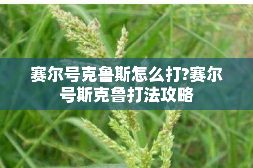 赛尔号克鲁斯怎么打?赛尔号斯克鲁打法攻略 赛尔号克鲁斯怎么打?赛尔号斯克鲁打法攻略