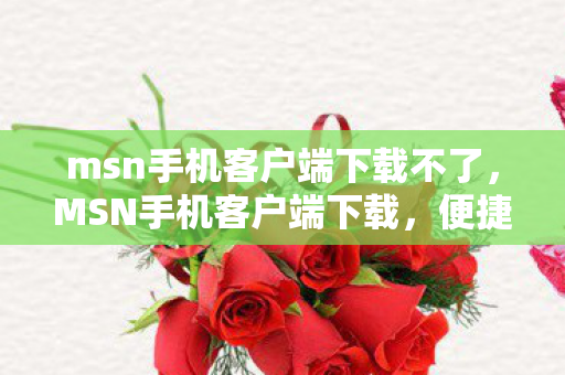 msn手机客户端下载不了,MSN手机客户端下载,便捷沟通,尽在掌握 msn手机客户端下载不了,MSN手机客户端下载,便捷沟通,尽在掌握