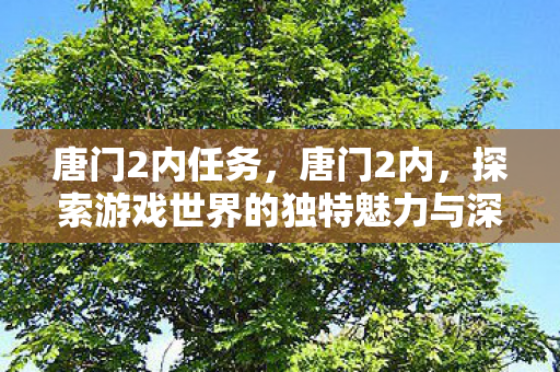 唐门2内任务,唐门2内,探索游戏世界的独特魅力与深度 唐门2内任务,唐门2内,探索游戏世界的独特魅力与深度