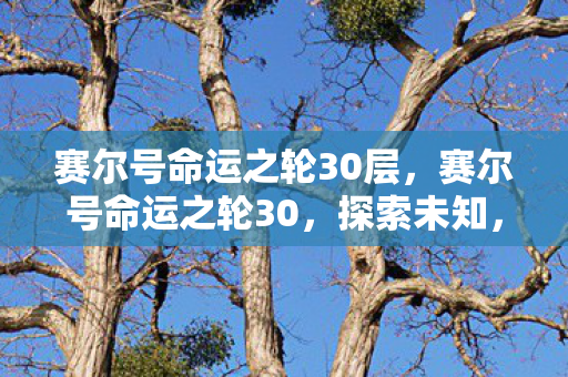 赛尔号命运之轮30层,赛尔号命运之轮30,探索未知,挑战极限 赛尔号命运之轮30层,赛尔号命运之轮30,探索未知,挑战极限