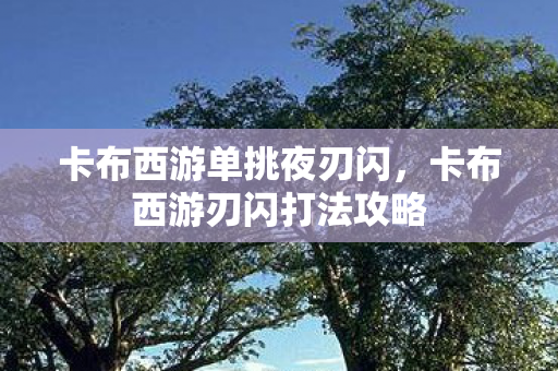 卡布西游单挑夜刃闪,卡布西游刃闪打法攻略 卡布西游单挑夜刃闪,卡布西游刃闪打法攻略