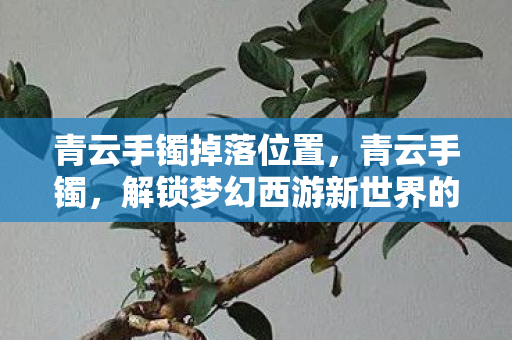 青云手镯掉落位置,青云手镯,解锁梦幻西游新世界的神秘钥匙 青云手镯掉落位置,青云手镯,解锁梦幻西游新世界的神秘钥匙