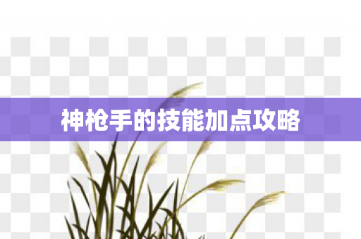 神枪手的技能加点攻略 神枪手的技能加点攻略