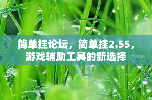 简单挂论坛,简单挂2.55,游戏辅助工具的新选择 简单挂论坛,简单挂2.55,游戏辅助工具的新选择