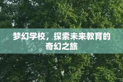 梦幻学校，探索未来教育的奇幻之旅