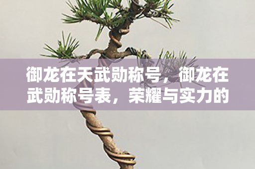 御龙在天武勋称号,御龙在武勋称号表,荣耀与实力的象征 御龙在天武勋称号,御龙在武勋称号表,荣耀与实力的象征