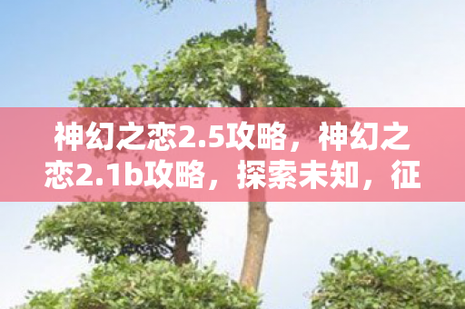 神幻之恋2.5攻略,神幻之恋2.1b攻略,探索未知,征服挑战 神幻之恋2.5攻略,神幻之恋2.1b攻略,探索未知,征服挑战