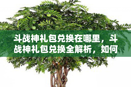 斗战神礼包兑换在哪里,斗战神礼包兑换全解析,如何高效获取与使用 斗战神礼包兑换在哪里,斗战神礼包兑换全解析,如何高效获取与使用