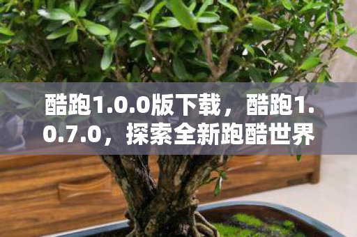 酷跑1.0.0版下载,酷跑1.0.7.0,探索全新跑酷世界的奇妙之旅 酷跑1.0.0版下载,酷跑1.0.7.0,探索全新跑酷世界的奇妙之旅