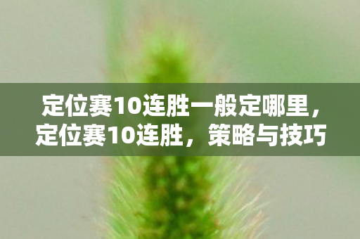 定位赛10连胜一般定哪里,定位赛10连胜,策略与技巧的深度剖析 定位赛10连胜一般定哪里,定位赛10连胜,策略与技巧的深度剖析