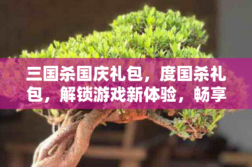三国杀国庆礼包,度国杀礼包,解锁游戏新体验,畅享无限乐趣 三国杀国庆礼包,度国杀礼包,解锁游戏新体验,畅享无限乐趣