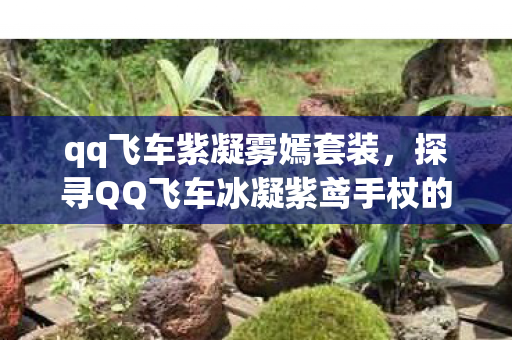 qq飞车紫凝雾嫣套装，探寻QQ飞车冰凝紫鸢手杖的魅力
