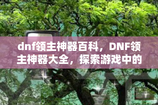 dnf领主神器百科,DNF领主神器大全,探索游戏中的神器宝藏 dnf领主神器百科,DNF领主神器大全,探索游戏中的神器宝藏