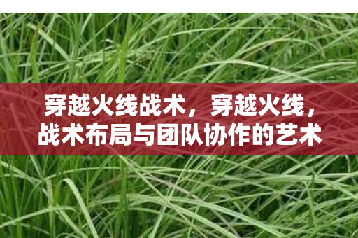 穿越火线战术,穿越火线,战术布局与团队协作的艺术 穿越火线战术,穿越火线,战术布局与团队协作的艺术