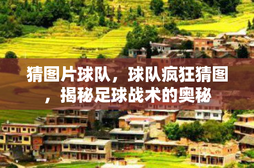 猜图片球队,球队疯狂猜图,揭秘足球战术的奥秘 猜图片球队,球队疯狂猜图,揭秘足球战术的奥秘