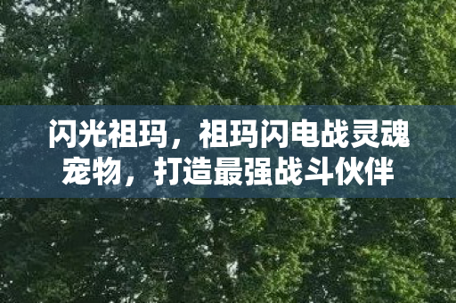 闪光祖玛,祖玛闪电战灵魂宠物,打造最强战斗伙伴 闪光祖玛,祖玛闪电战灵魂宠物,打造最强战斗伙伴