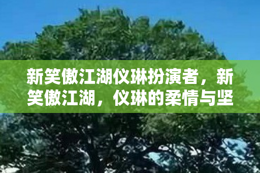 新笑傲江湖仪琳扮演者,新笑傲江湖,仪琳的柔情与坚韧 新笑傲江湖仪琳扮演者,新笑傲江湖,仪琳的柔情与坚韧