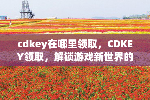 cdkey在哪里领取，CDKEY领取，解锁游戏新世界的钥匙