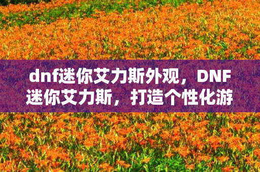 dnf迷你艾力斯外观，DNF迷你艾力斯，打造个性化游戏世界的奇妙之旅